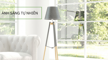 Cách cải thiện chất lượng không khí trong nhà