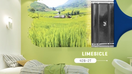 Tổng hợp màu sơn nhà đẹp không thể bỏ qua