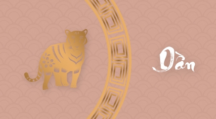 Màu sắc phong thủy 2021 - Tuổi Dần