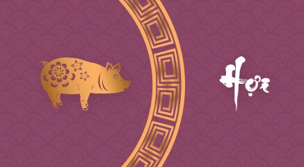 Màu sắc phong thủy 2021 - Tuổi Hợi