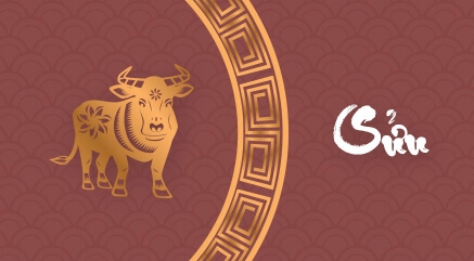 Màu sắc phong thủy 2021 - Tuổi Sửu