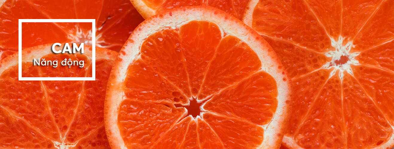 Cam - năng động