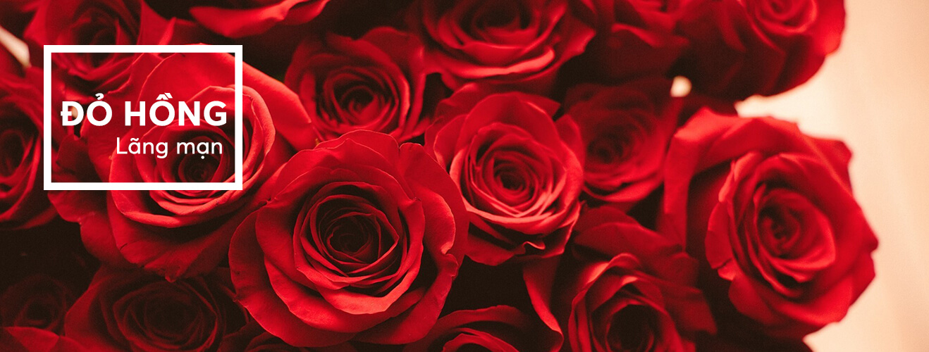 Đỏ hồng - lãng mạn