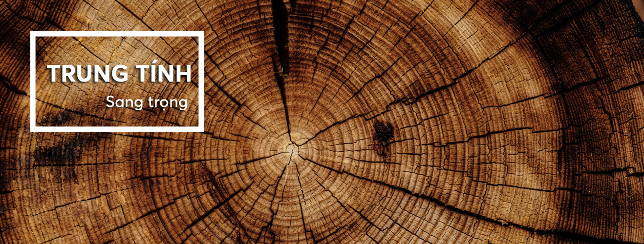 Trung tính - Sang trọng