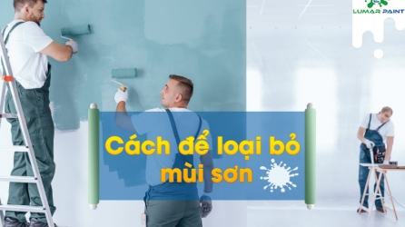8 cách khử mùi sơn hiệu quả