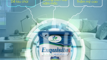 Nên chọn sơn nội thất nào cho ngôi nhà bạn?