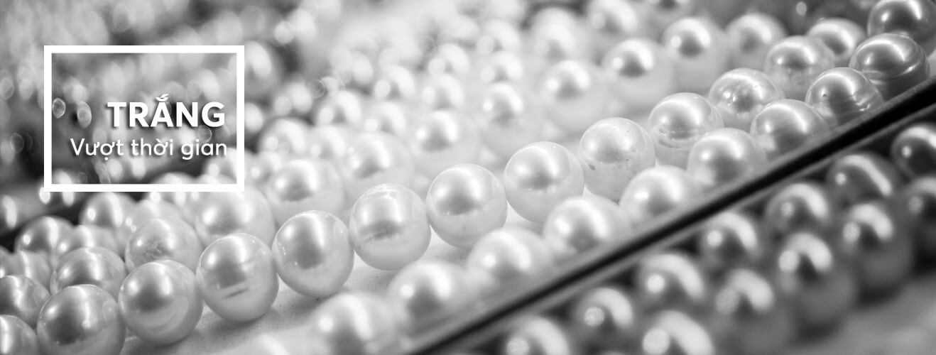 Trắng - vượt thời gian