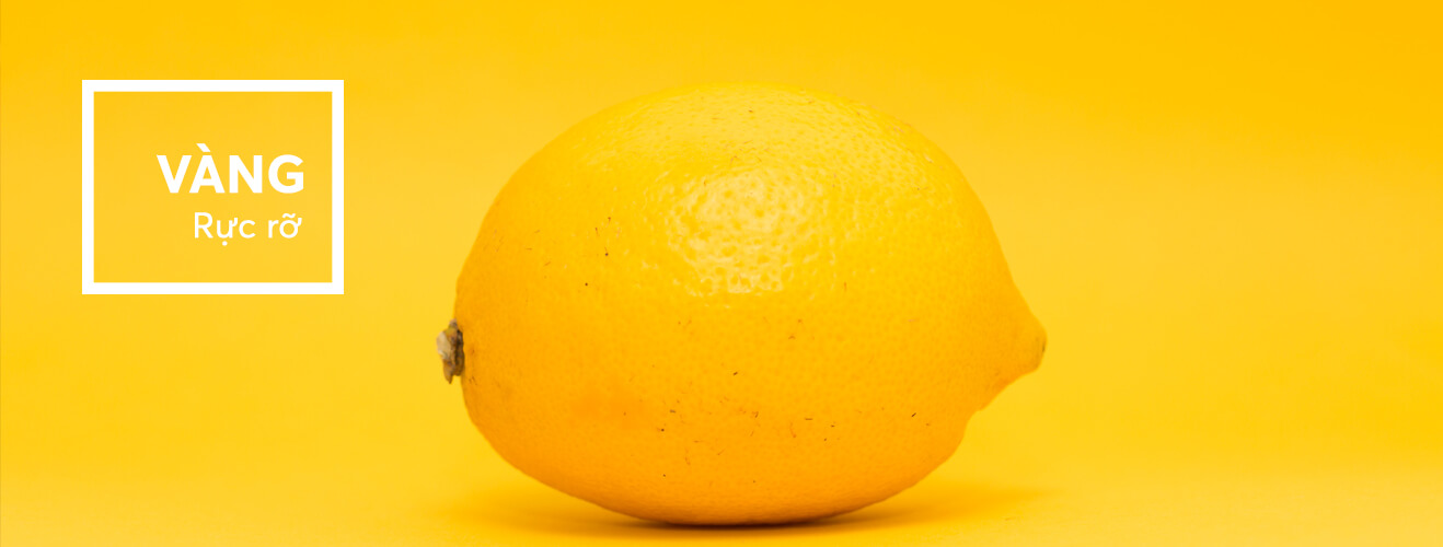 Vàng - rực rỡ