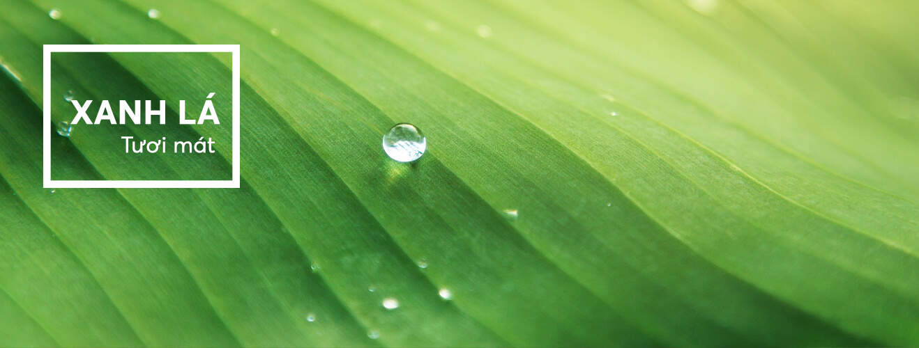 Xanh lá - tươi mát